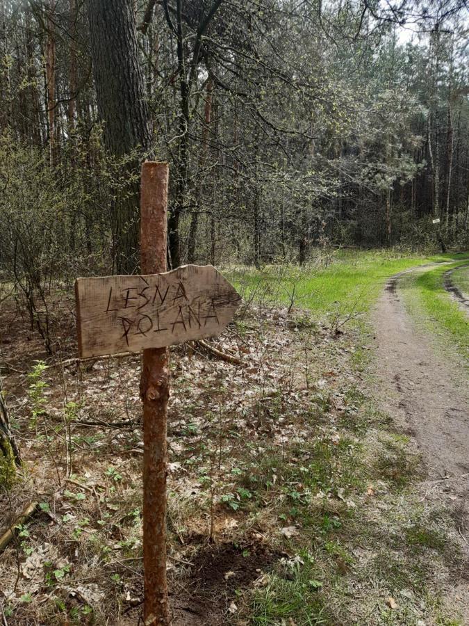 Lesna Polana Βίλα Górzno Εξωτερικό φωτογραφία