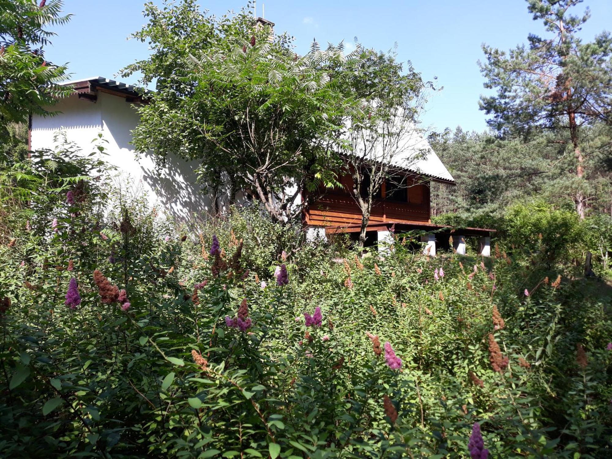 Lesna Polana Βίλα Górzno Εξωτερικό φωτογραφία